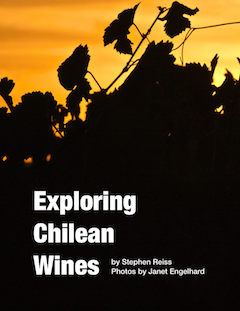 ExploringChileanWinesCovertn