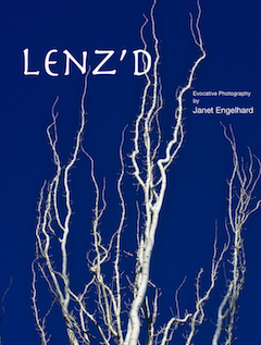 LenzdCoverTN