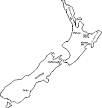 nzmapsm